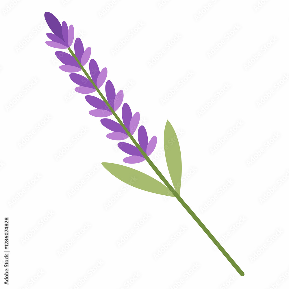soft lavender sprig soft lavender sprig