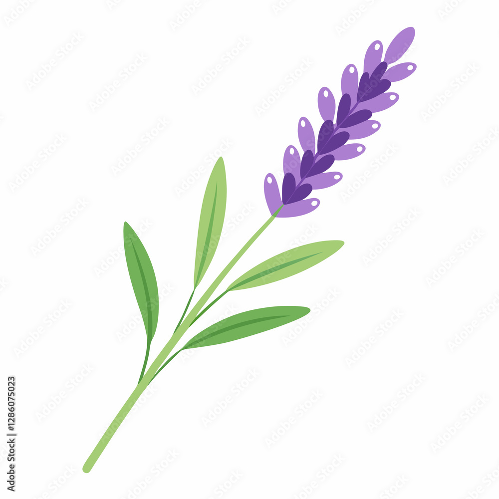 Obraz premium soft lavender sprig