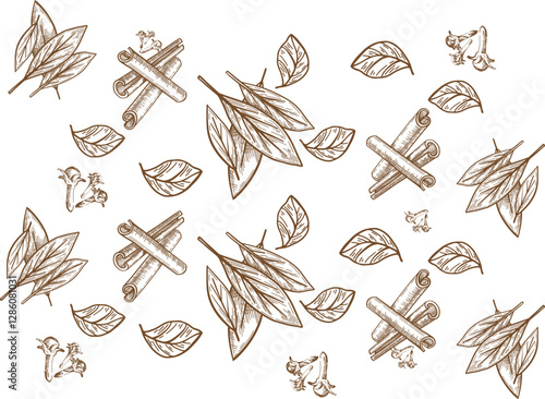spices lemon cinnamon betel nut cloves minchin vector