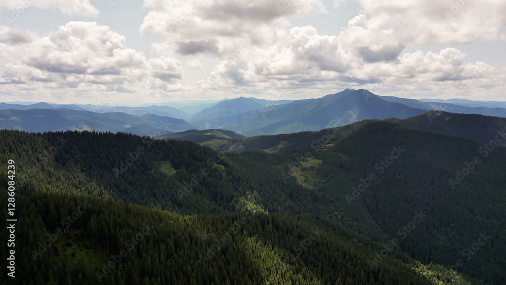 Nature, forest, Transrarau, Romania, serpentine roads, drone photo Nature, forest, Transrarau, Romania, serpentine roads, drone photo