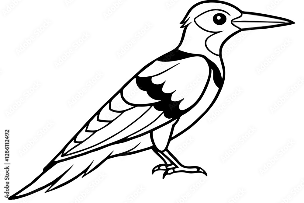 Fototapeta premium Woodpecker Line Illustration