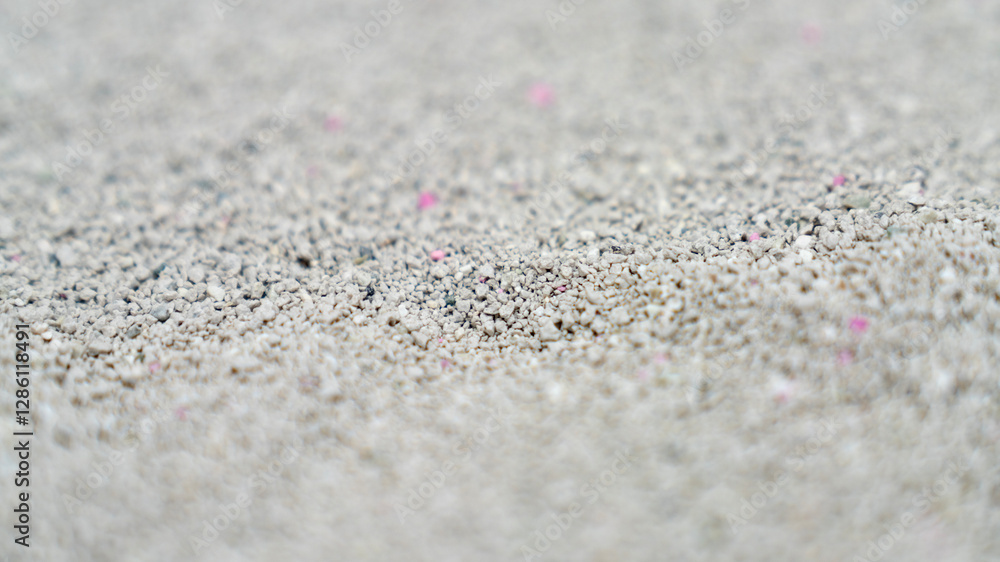 Cat litter granules close up. The texture of granular toilet filler. Cat litter in granules box. active carbon. texture pattern. Clean Cat litter in a litter tray. Background of white bentonite fresh