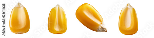 Corn isolated on transparent background 