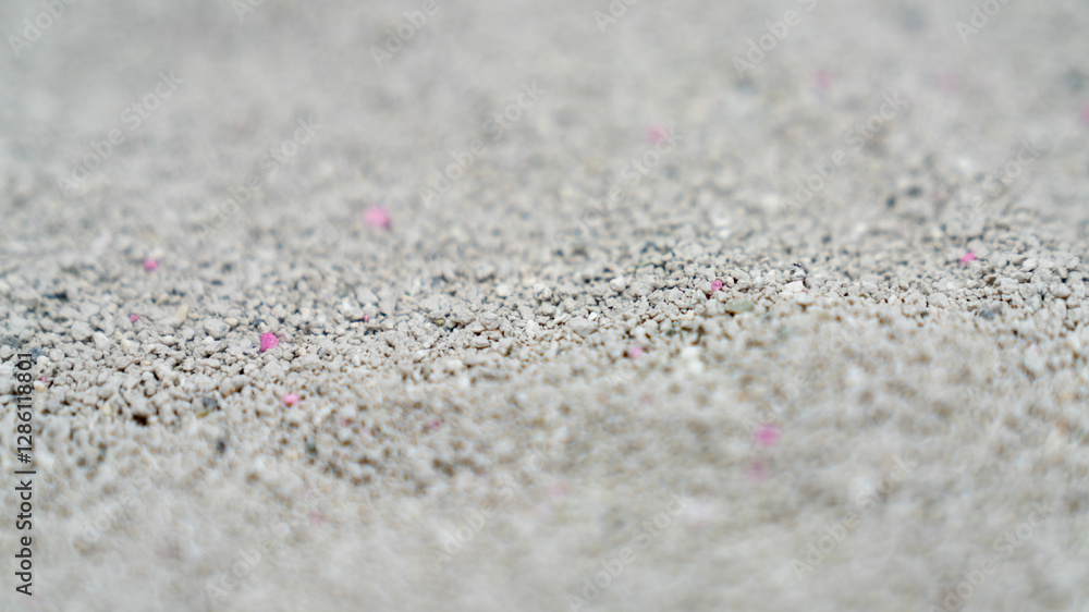 Cat litter granules close up. The texture of granular toilet filler. Cat litter in granules box. active carbon. texture pattern. Clean Cat litter in a litter tray. Background of white bentonite fresh Cat litter granules close up. The texture of granular toilet filler. Cat litter in granules box. active carbon. texture pattern. Clean Cat litter in a litter tray. Background of white bentonite fresh