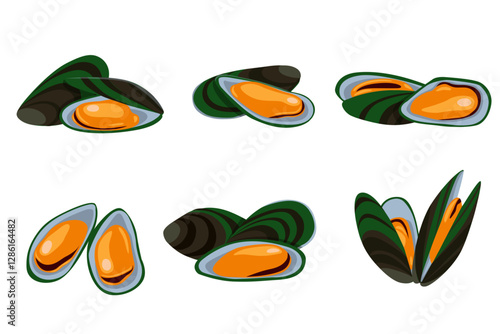 Green Shell mussels isolated on white background, Fresh New Zealand mussels on illustration vector isolated on white background.	
