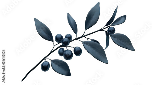 Dark green branch with ripe berries and glossy leaves showcasing natural beauty in a simple arrangement