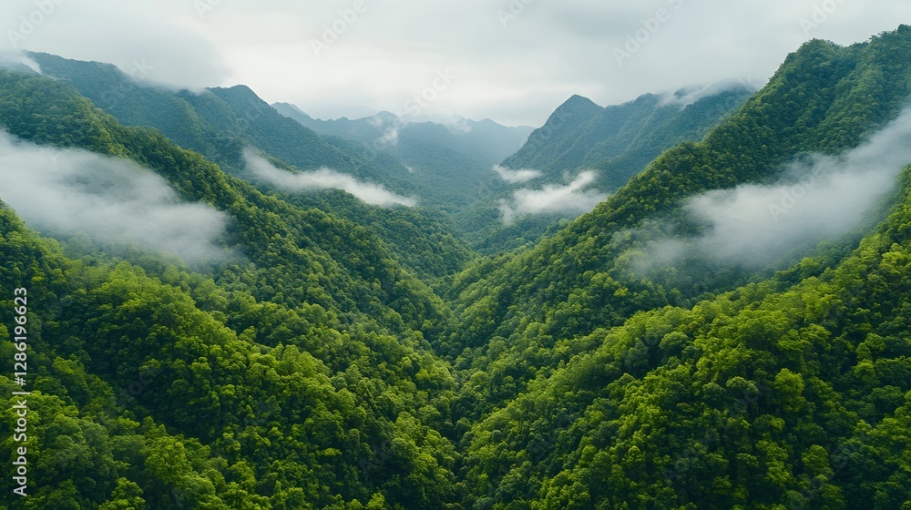 Fototapeta premium Lush Green Mountain Valley with Misty Clouds and Serene Nature Vibes