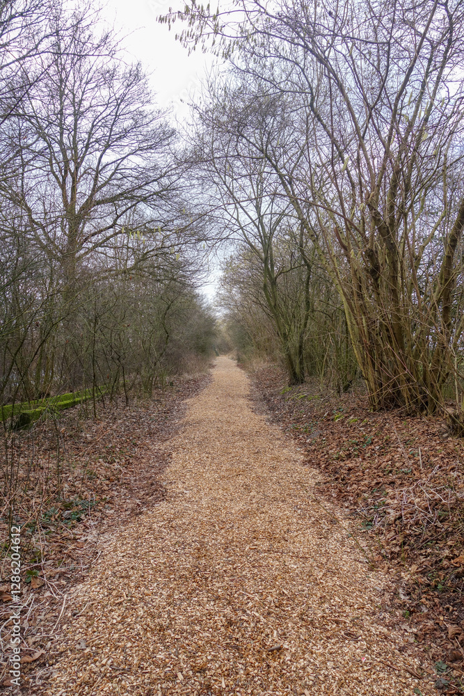 Obraz premium Weg mit Hackschnitzeln