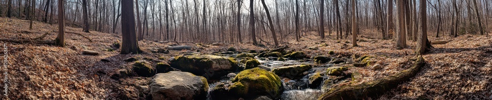 Serene forest stream flows through mosscovered rocks and fallen leaves in early spring sunlight. Serene forest stream flows through mosscovered rocks and fallen leaves in early spring sunlight.