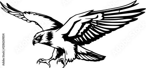 Dynamic falcon vector illustration swooping down with sharp talons in action pose.