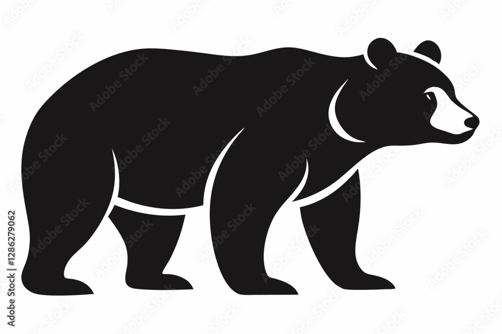 vector illustration of a bear vector illustration of a bear