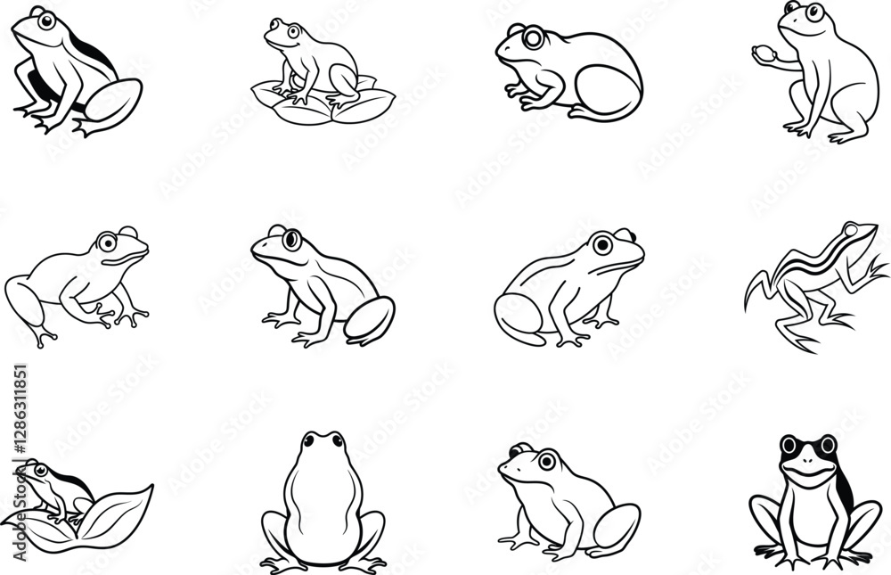 Fototapeta premium Twelve Diverse Frog Illustrations Amphibian Collection Line Art