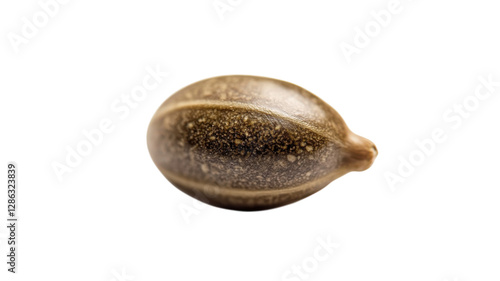 Obraz na płótnie Unique brown seed with textured surface resting on white background showcasing its natural beauty and shape w salonie