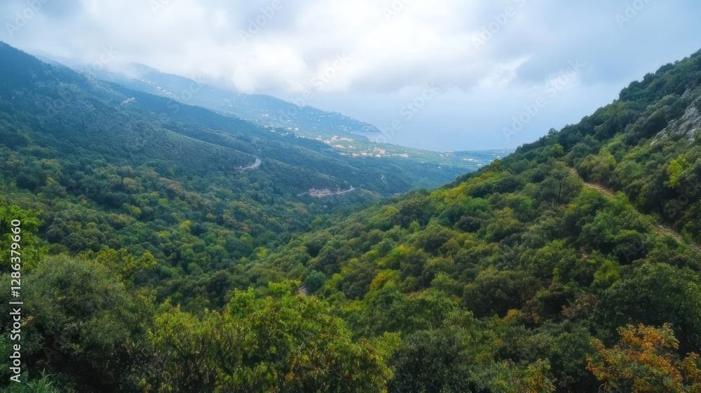 Mountainous valley overlooking the sea Mountainous valley overlooking the sea