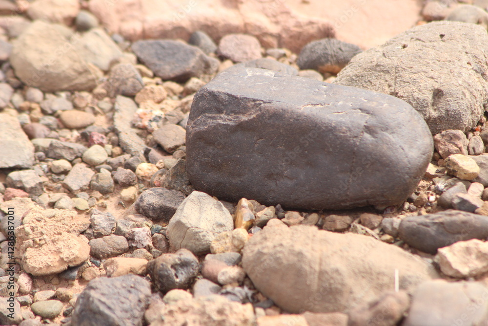 A close-up view of a black stone on the ground A close-up view of a black stone on the ground