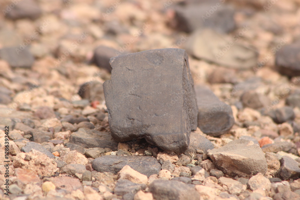 custom made wallpaper toronto digitalA close-up view of a black stone on the ground