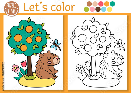 Capybara coloring page for children with cute animal and tangerine tree. Vector capibara outline illustration. Color book for kids with colored example. Drawing skills printable worksheet