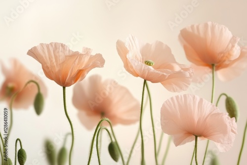 Close-up of delicate pastel poppies in soft pink and orange tones. A dreamy floral composition with gentle lighting, perfect for nature, romance, and botanical themes.