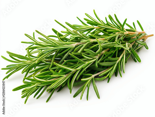 Fresh Organic Rosemary: The Aromatic Green Herb Essential for Culinary Spice and Healthy Cooking