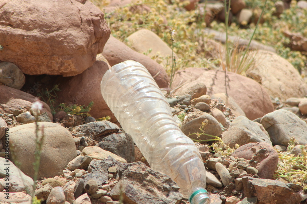 Obraz premium Empty plastic bottle lying on the ground