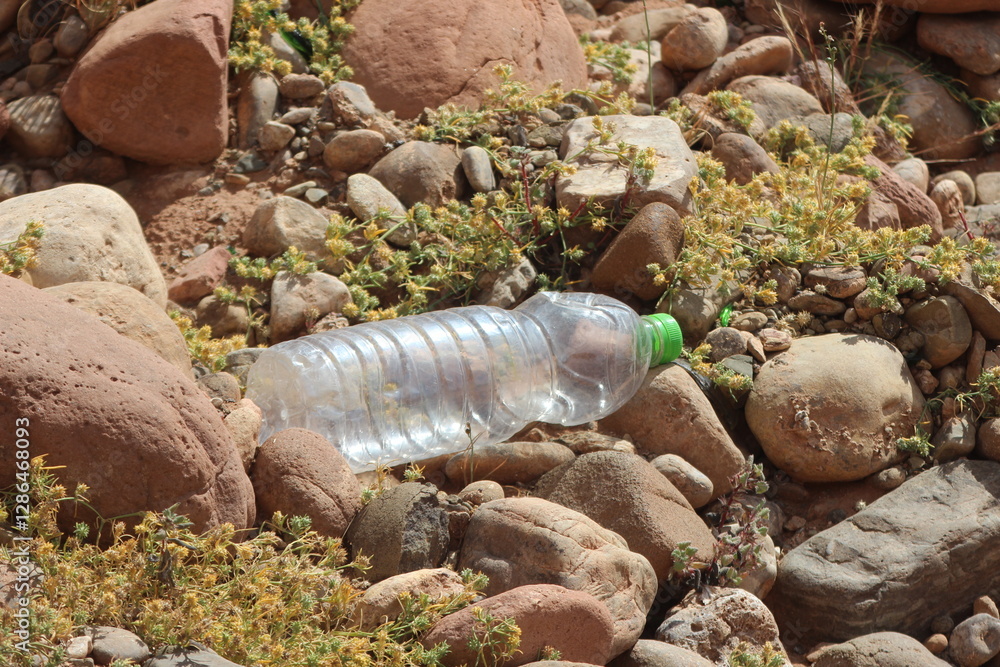 Obraz premium Empty plastic bottle lying on the ground