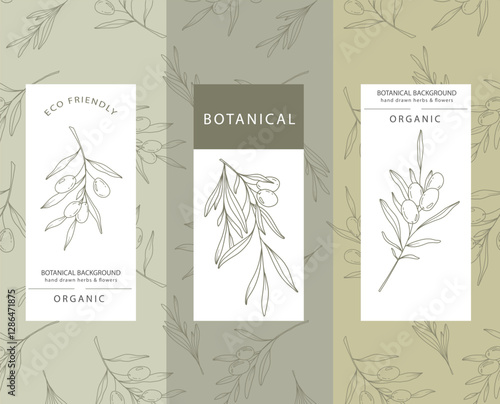 Olives Line Art. Olives Labels. Organic Shop banner. Botanical Background trendy minimalist olive branches. Olives banner template. Floral Line Art Illustration.