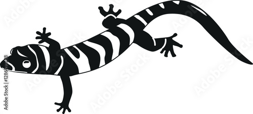 Tropical gecko black-and-white vector illustration