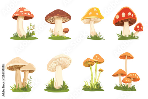 set of Mushroom Vector illustration isolated on a white background