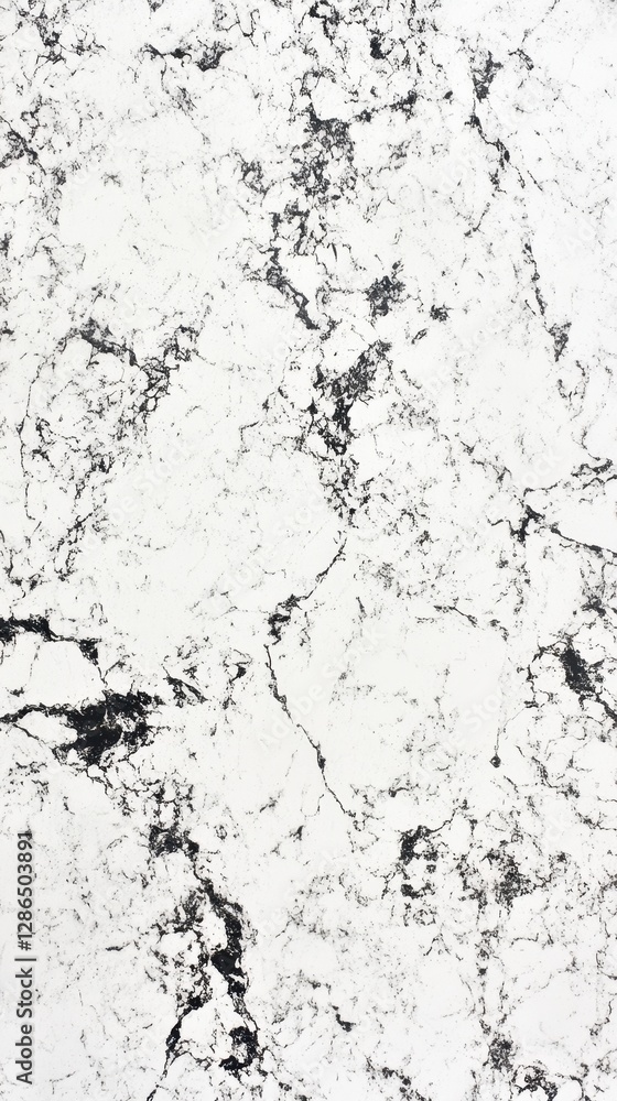 A detailed close-up of a black and white marble surface featuring intricate patterns and textures that create a striking visual contrast. A detailed close-up of a black and white marble surface featuring intricate patterns and textures that create a striking visual contrast.