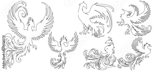 set of phoenix bird sketch, vector illustration