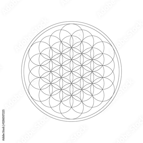 Flower of Life. Sacred Geometry. Black and white drawing with one line. Mandala for coloring. Vector illustration isolated on white background