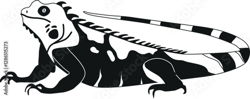 Graphical varan black-and-white vector illustration