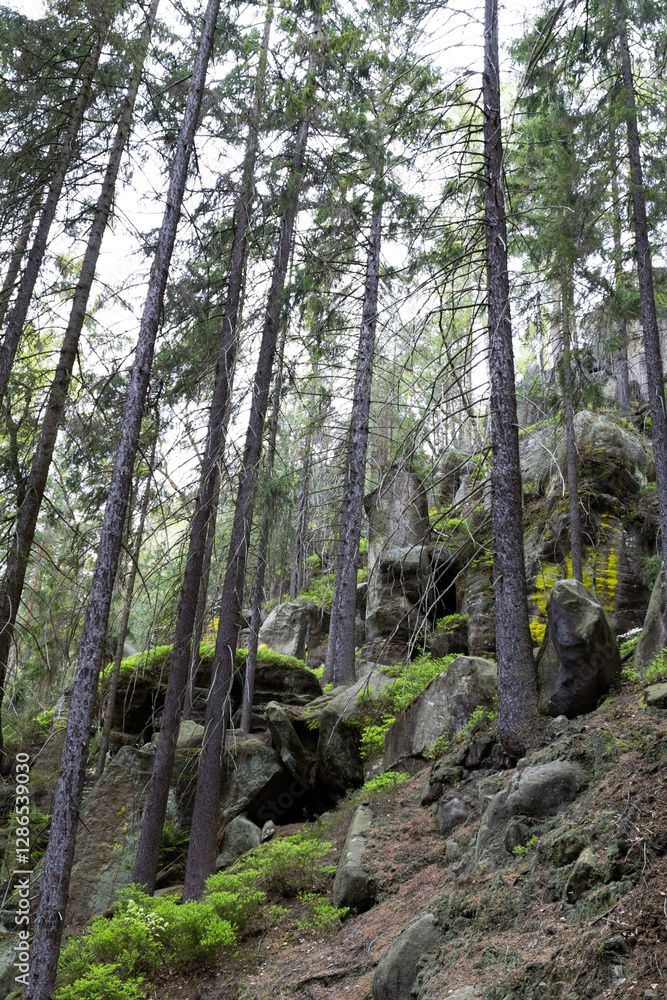 Majestic rock formations towering above lush green trees in Adršpašské skály park, Czech Republic. Majestic rock formations towering above lush green trees in Adršpašské skály park, Czech Republic.