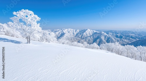 Wallpaper Mural Snowy mountain landscape, winter frost-covered trees, clear sky Torontodigital.ca