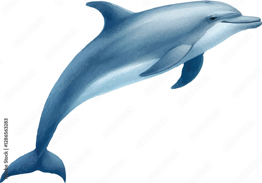 Obraz premium Watercolor vector illustration of a dolphin