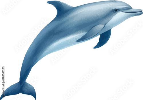 Watercolor vector illustration of a dolphin