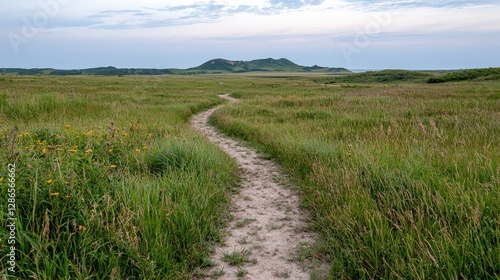 Winding path through a grassy prairie landscape with distant hill. Possible use Stock photo for travel, nature, or outdoor recreation publications