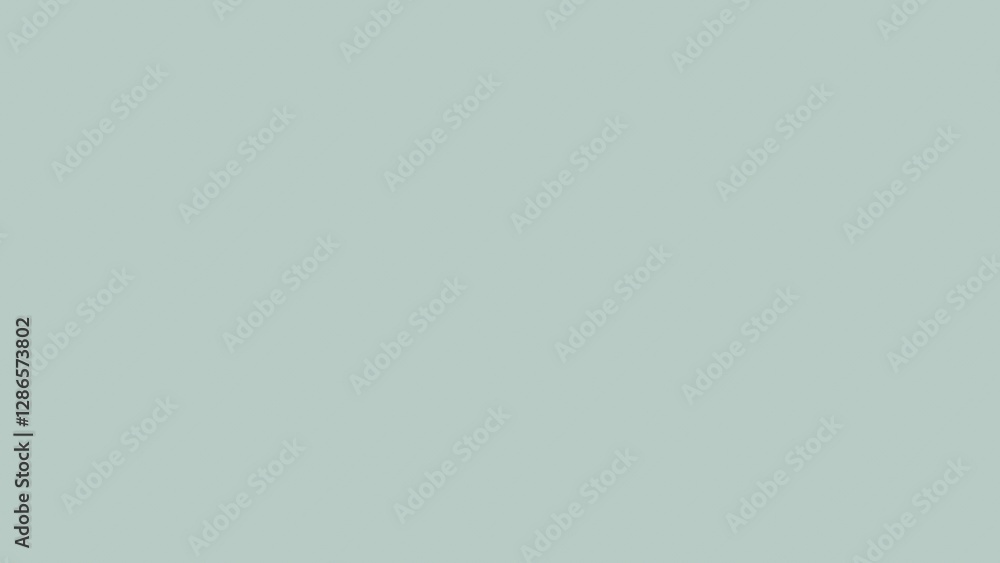 Light Gray Solid Color Background (3)