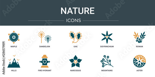 set of 10 outline web nature icons such as maple, dandelion, oak, sisyrinchium, rowan, hills, fire hydrant vector icons for report, presentation, diagram, web design, mobile app