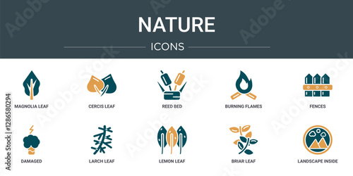 set of 10 outline web nature icons such as magnolia leaf, cercis leaf, reed bed, burning flames, fences, damaged, larch leaf vector icons for report, presentation, diagram, web design, mobile app