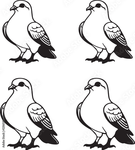 careting a Pigeon vitor silhouette
