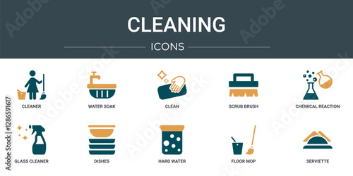 set of 10 outline web cleaning icons such as cleaner, water soak, clean, scrub brush, chemical reaction, glass cleaner, dishes vector icons for report, presentation, diagram, web design, mobile app
