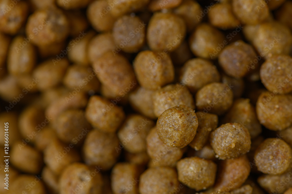Delicious brown kibble treats scattered on a vibrant surface, appealing to pet lovers and their furry friends Delicious brown kibble treats scattered on a vibrant surface, appealing to pet lovers and their furry friends