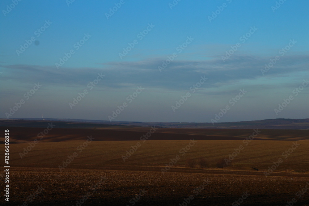 Obraz premium A landscape with a sign