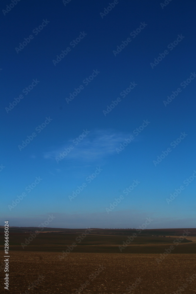A field with a blue sky