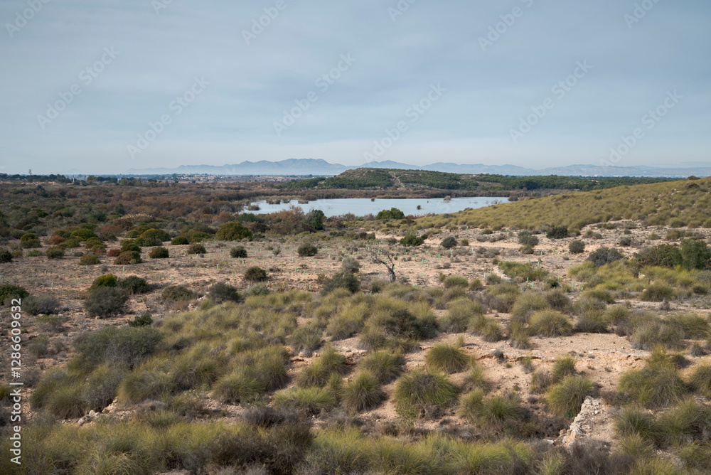 A semi-arid landscape in Clot de Galvany, Alicante, Spain, featuring scattered bushes, grass patches, a small lagoon, and distant mountains under a cloudy sky A semi-arid landscape in Clot de Galvany, Alicante, Spain, featuring scattered bushes, grass patches, a small lagoon, and distant mountains under a cloudy sky