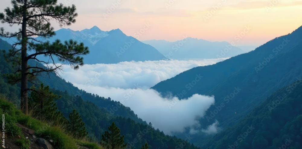 Obraz premium Misty low clouds cling to mountain tree branches, scenery, mountain, landscape