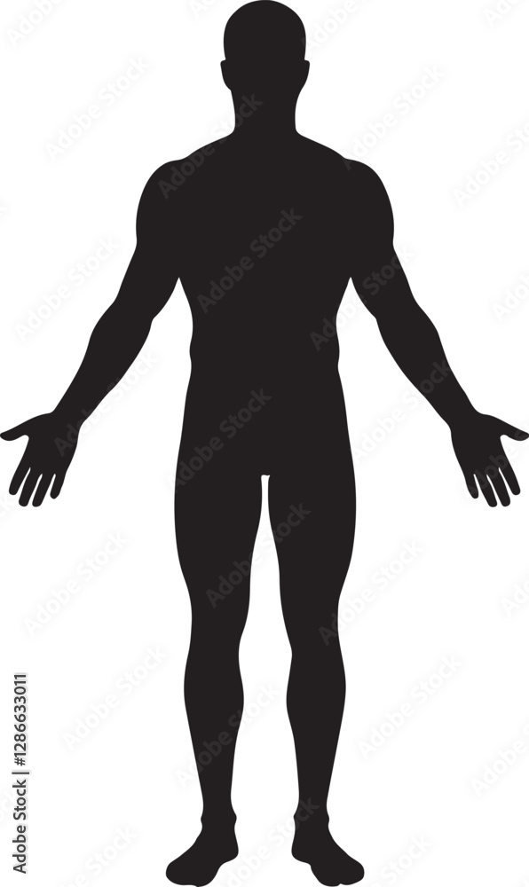 silhouette of a man, isolated vector silhouette of a man, isolated vector