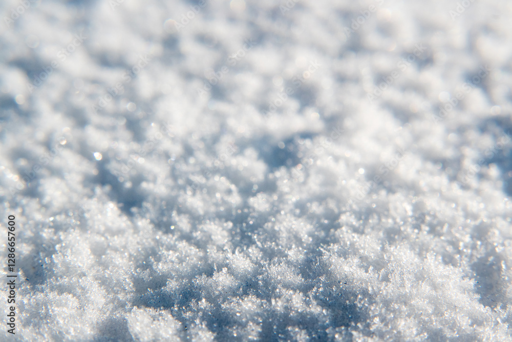 Snow, background, wallpaper. Frozen water crystals.