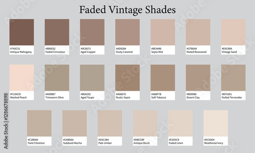 Color Palette 20 Shades of Faded Vintage Brown - Soft, Timeworn, Pastel Colors - with HEX Codes and Names, Colour Swatches and Combinations